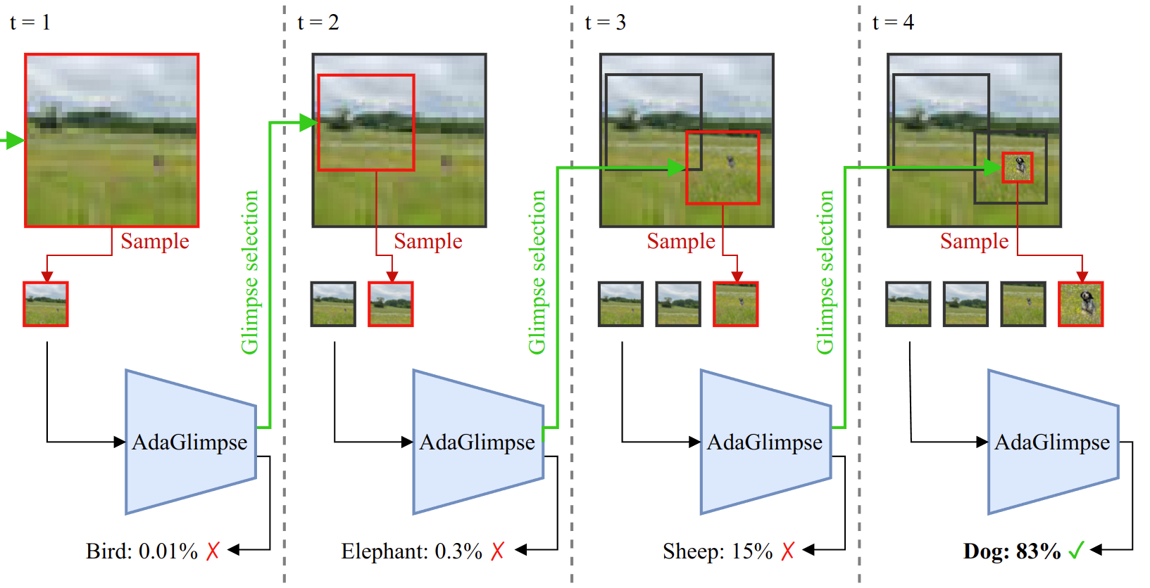 Scheme of the AdaGlimpse methods